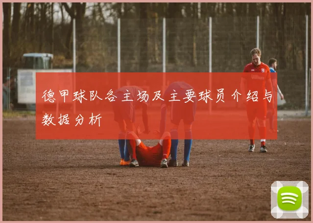 德甲球队各主场及主要球员介绍与数据分析