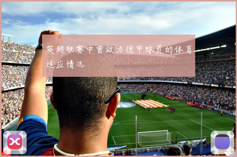 英超联赛中曾效力德甲球员的体育适应情况